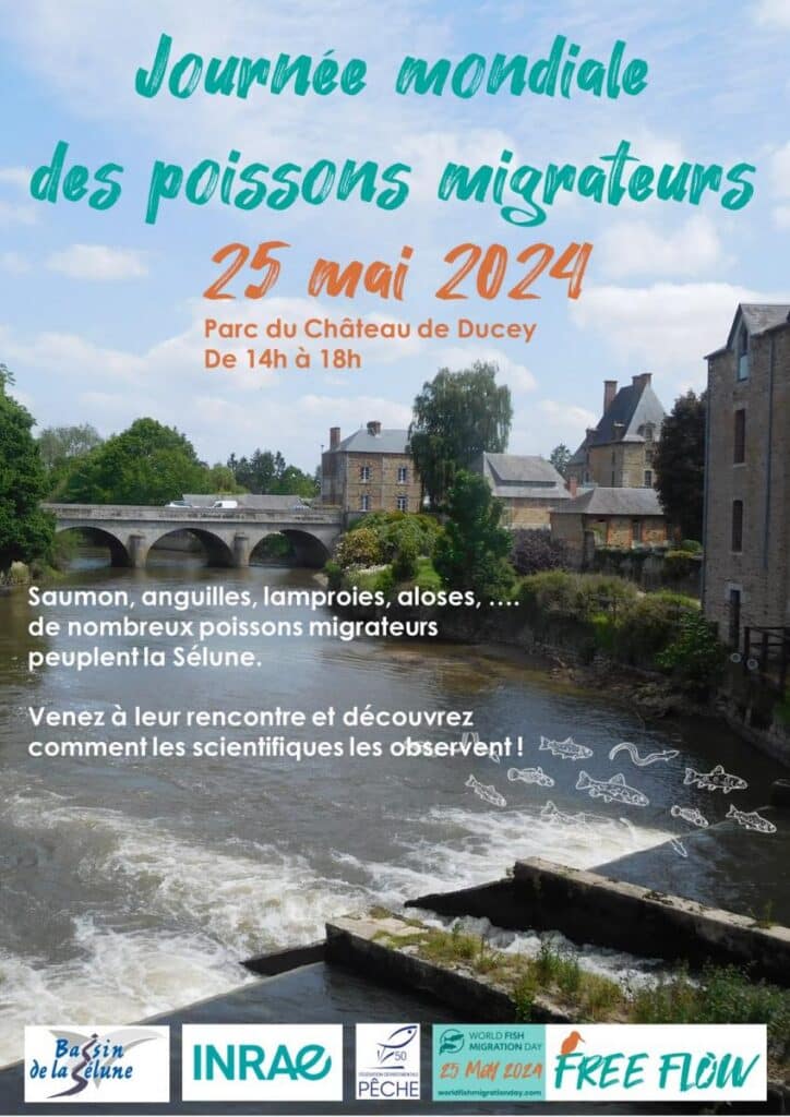 Le 25 mai, c&rsquo;est la journée mondiale des poissons migrateurs !