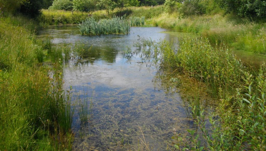 GT Evaluation SAGE
